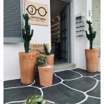 458923693_439155452483511_385705270237609413_n